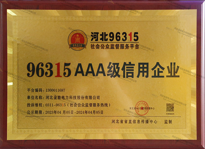 96315 AAA Credit Enterprise